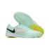Футзалки Nike Lunar Gato II IC