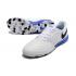 Футзалки Lunar Gato II IC white 
